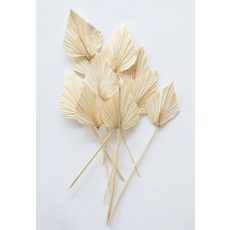 Bundle of Bleached Dried Palm...